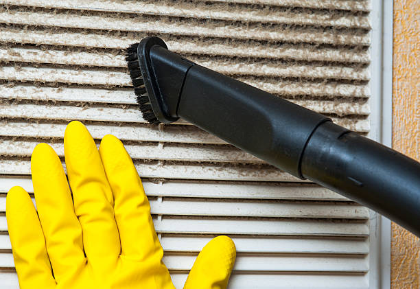 Best Air Duct Mold Removal  in Bay Hill, FL